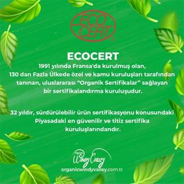Windy Valley 200 gr Organik Keten Tohumu