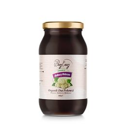 Windy Valley 460 gr Organik Dut Pekmezi