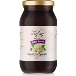 Windy Valley 460 gr Organik Dut Pekmezi