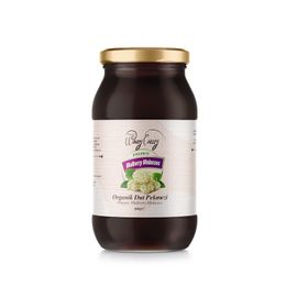 Windy Valley 460 gr Organik Dut Pekmezi