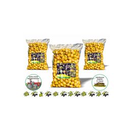 Yasemin Hanım Çiftliği 3x1 kg Edremit Tipi Taş Kırma Yeşil Zeytin