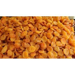 Yazar 1 kg Jumbo Şekerpare Kuru Kayısı