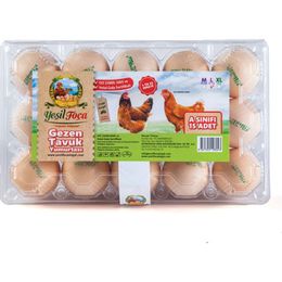 Yeşil Foca 15'li Large Gezen Tavuk Yumurtası
