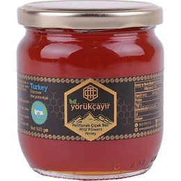 Yörükçayır 500 gr Organik Polifloralı Bal