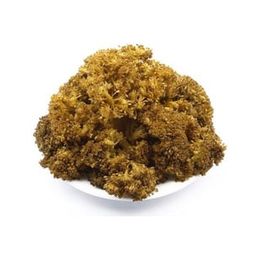 Zavrak 1 kg Çubuk Brokoli Turşusu