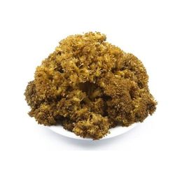 Zavrak 1 kg Çubuk Brokoli Turşusu