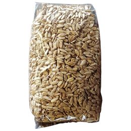 Zencefil Organik 1 kg Çiğ Ayçekirdeği İçi