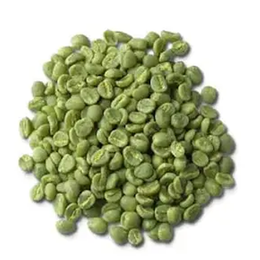 Zencefil Organik 1 kg Çiğ Çekirdek Yeşil Kahve