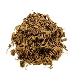 Zencefil Organik 1 kg Kedi Otu