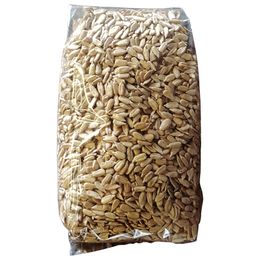 Zencefil Organik 1 kg Soyulmuş Çiğ Çekirdek İçi