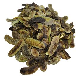Zencefil Organik 2 kg Açlık Otu