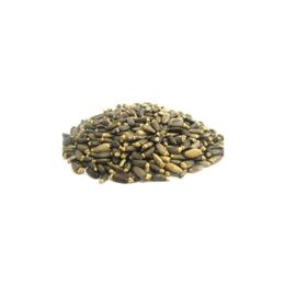 Zencefil Organik 250 gr Deve Dikeni Tohumu