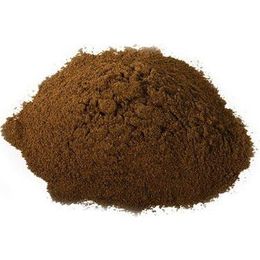 Zencefil Organik 250 gr Öğütülmüş Toz Yeni Bahar