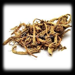 Zencefil Organik 250 gr Üdül Kahr Akırı Kahra