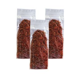 Zencefil Organik 3 Paket Aspir Çiçeği
