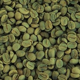 Zencefil Organik 500 gr Kavrulmamış Çiğ Çekirdek Yeşil Kahve