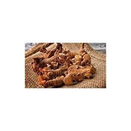 Zencefil Organik 500 gr Kök Havlıcan