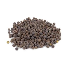 Zencefil Organik 500 gr Siyah Hardal Tohumu