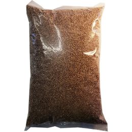 Zencefil Organik 500 gr Tane Kişniş