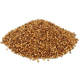 Zencefil Organik 500 gr Tane Kişniş