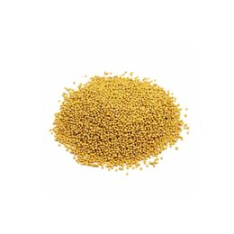 Zencefil Organik 500 gr Tane Sarı Hardal Tohumu