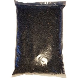 Zencefil Organik 500 gr Yerli Yaban Mersini Kurusu