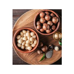 Zencefil Organik 660 cc Makademya Fındığı