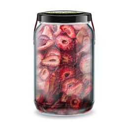 Zencefil Organik 660 gr Çilek Kurusu