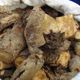 1 kg Uçkun Kökü