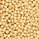 1,25 kg Kavrulmuş Fındık İçi