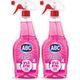 Abc Çiçek Bahçesi 2x500 ml Cam Temizleyici