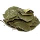 Aktarzane 250 gr Avakado Yaprağı