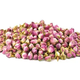 Aktarzane 250 gr Tomurcuk Gül Kurusu