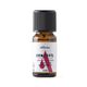 Alfheim 10 ml Zencefil Uçucu Yağı