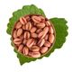 Antik Kuruyemiş 500 gr Anaçıtlak Siirt Fıstığı