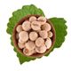 Antik Kuruyemiş 500 gr Topy Fıstık