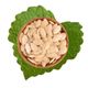 Antik Kuruyemiş 500 gr Tuzsuz Kabak Çekirdeği