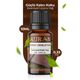 Auran 10 ml Dubai Çikolatası Esansiyel Uçucu Koku Yağı