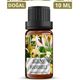 Auran 10 ml Hanımeli Uçucu Buhurdanlık Yağı