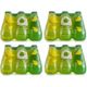 Avşar 200 ml Kivi Limon C Plus Maden Suyu