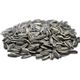 Ayvalık Baharat 1 kg Dakota Çiğ Tuzsuz Çekirdek