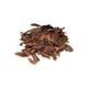 Ayvalık Baharat 100 gr Buhur