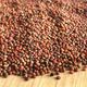 Ayvalık Baharat 100 gr Roka Tohumu
