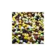Ayvalık Baharat 200 gr Çakıl Taşı Çikolata