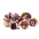 Ayvalık Baharat 200 gr Ekinezya