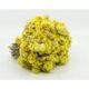 Ayvalık Baharat 50 gr Altın Otu