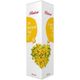 Balen 250 ml Sarı Kantoron Yağı