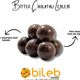 Bileb Serinhisar 250 gr Bitter Çikolatalı Leblebi