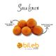 Bileb Serinhisar 400 gr Soslu Leblebi