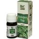 Bio Vitals 20 ml Fesleğen Yağı